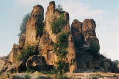 botsa_19