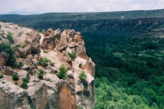 botsa_21